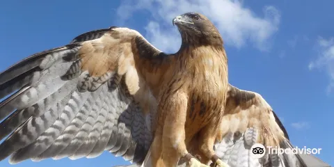 Living Coast Discovery Center