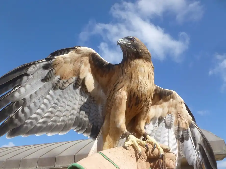 Các khách sạn gần Chula Vista Nature Center