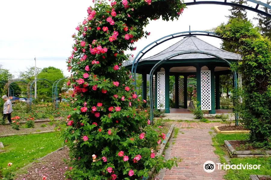 E.M. Mills Rose Garden