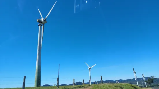 Windy Hill Wind Farm Viewing Area