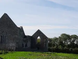 Abbey of Aghaboe
