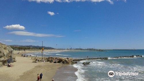 Platja de Ribes Roges