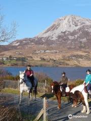 Errigal Equestrian Centre