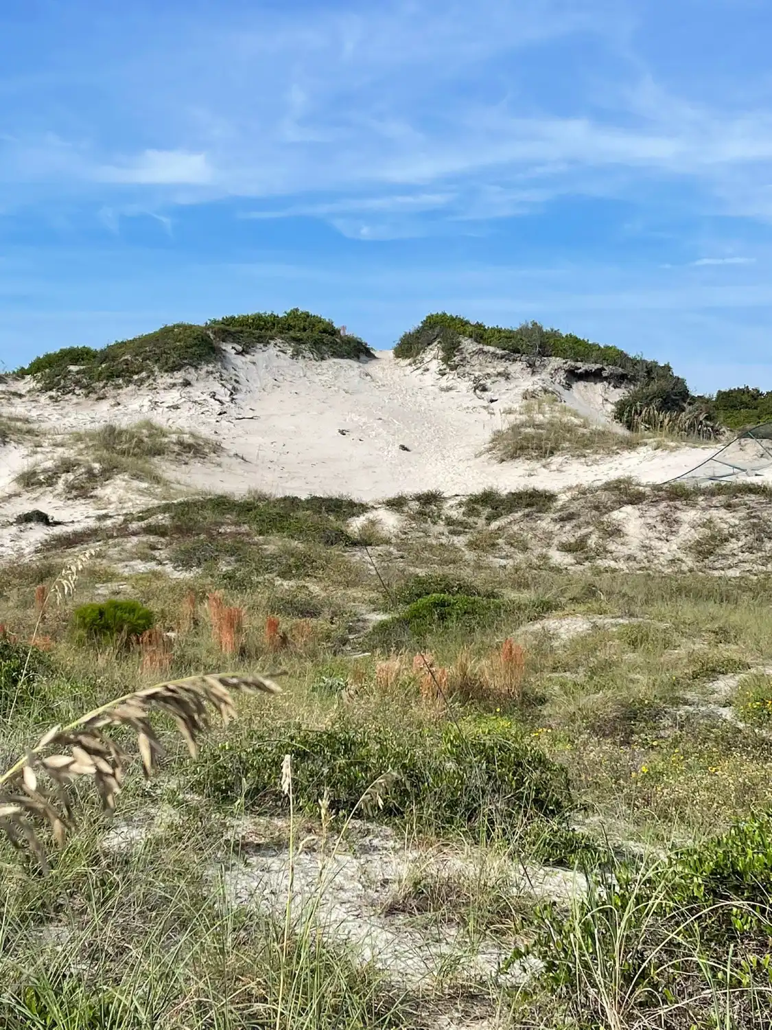 Hotels near Nana Dune - Tallest in Florida