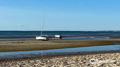 Crosby Landing Beach