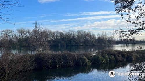 Walthamstow Wetlands