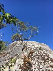 Parc national de Porongurup