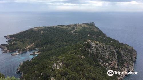 Penya Roja