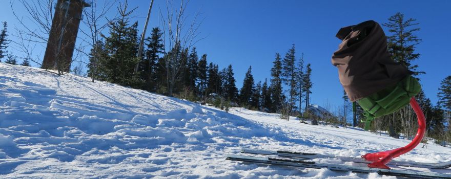Ski Areal Spicak