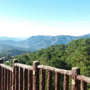 瞭望公園