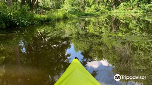 Buckhorn Island State Park