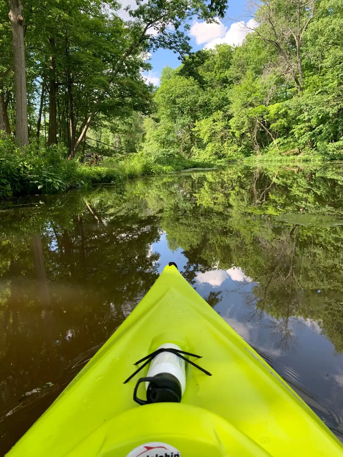 Hotels near Buckhorn Island State Park