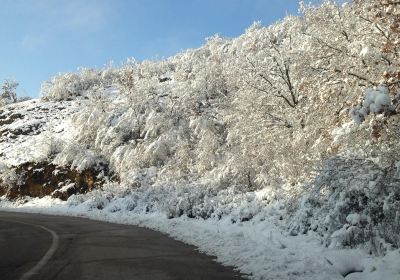 Nature Park Stara Planina