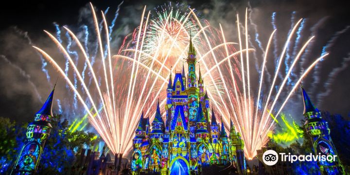 Magic Kingdom 50th Fireworks Dessert Party Disney Enchantment