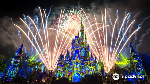 Magic Kingdom 50th Fireworks Dessert Party Disney Enchantment