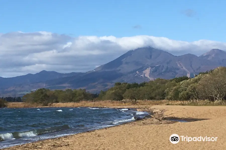 志田浜