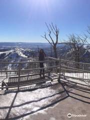 Lincoln National Forest