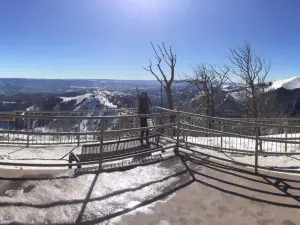 Foresta nazionale di Lincoln