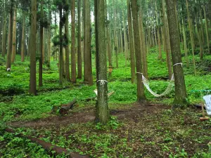 荒立神社