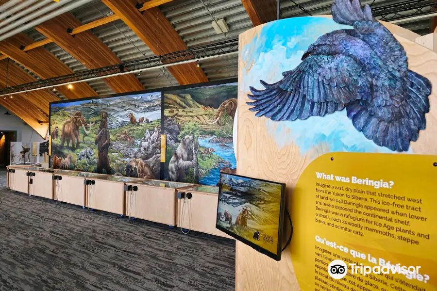 Yukon Beringia Interpretive Centre