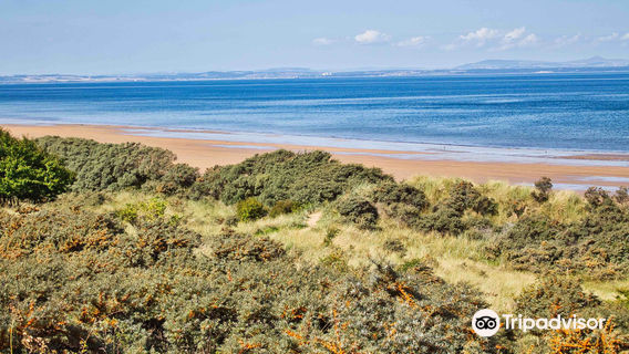 Gullane Beach