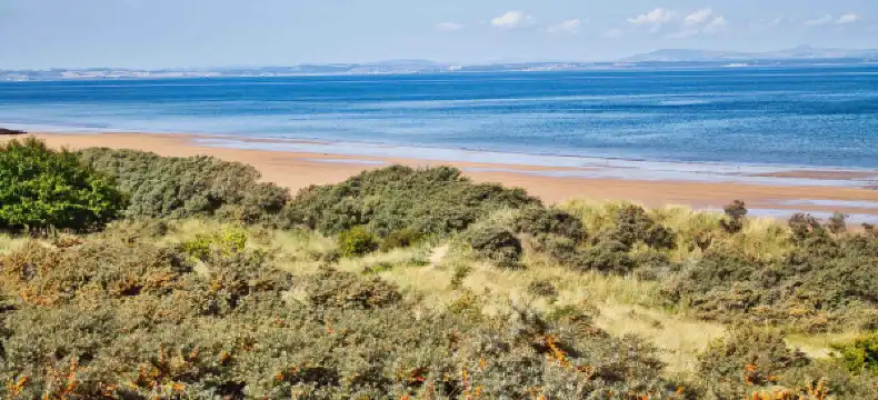 Hotels in Gullane