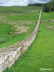 Housesteads Fort and Museum - Hadrian's Wall