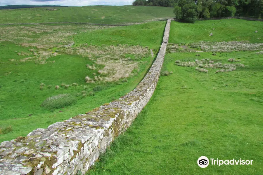 Housesteads Fort and Museum - Hadrian's Wall