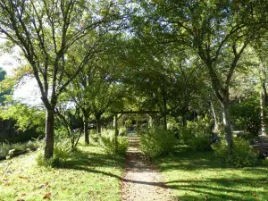 Jardin Botanique