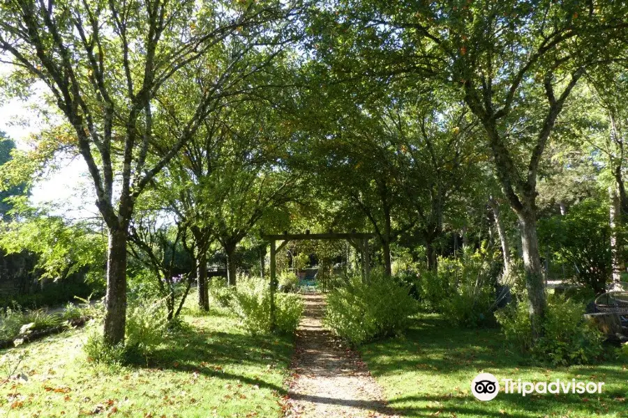 Jardin Botanique