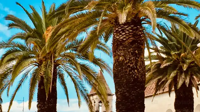 Trogir Promenade