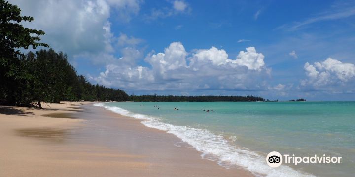 Coconut beach