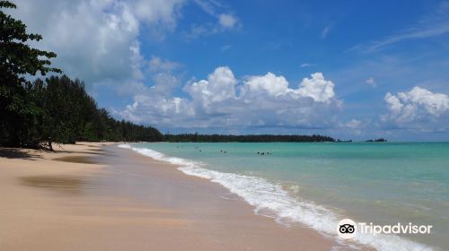 Coconut beach