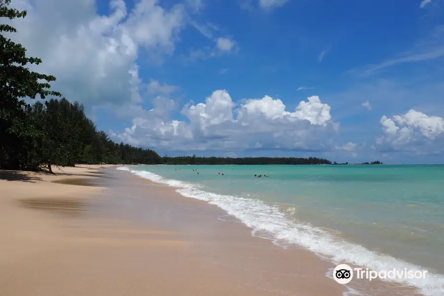 Coconut beach