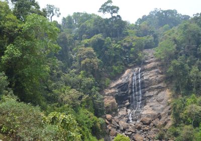 Attukad Waterfalls