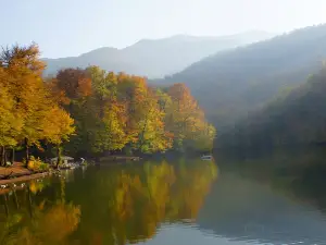 帕爾茲湖