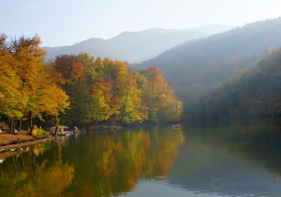 帕爾茲湖