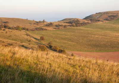 Chilterns Area of Outstanding Natural Beauty