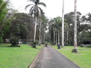 Parque Municipal Summit