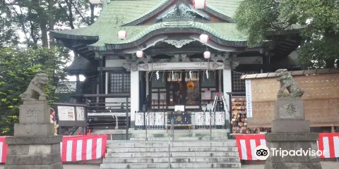 龜有