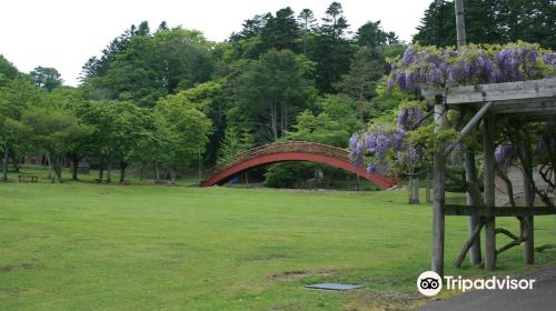 Nenohi Park