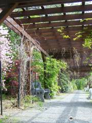 Jardin Botanique Roger Van den Hende