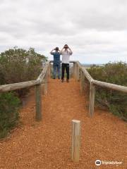 Arthur Drive Scenic Lookout