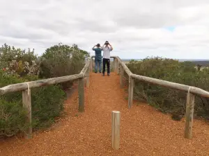 Arthur Drive Scenic Lookout