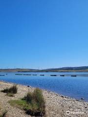 Llyn Brenig Visitor Centre