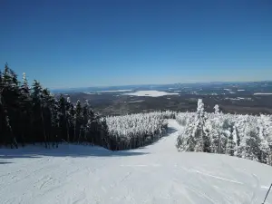 Saddleback