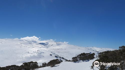 Snowy Mountains