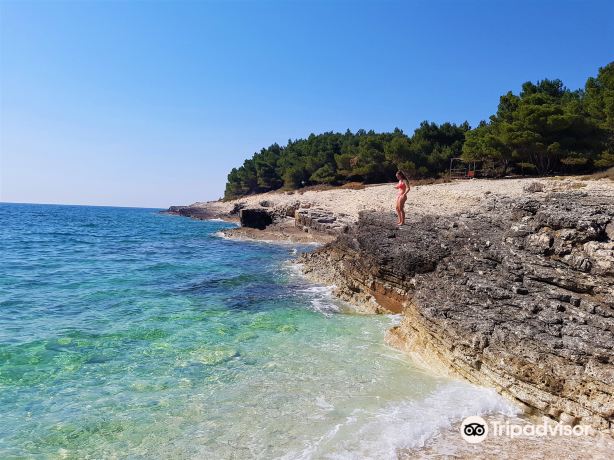 Beach Njive