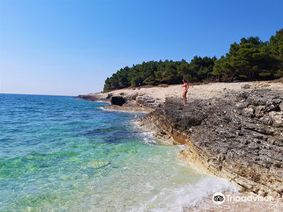Beach Njive