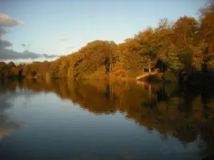 places to visit near porthcawl wales Gnoll Country Park